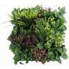 MINI WALL GREEN rich mix of plants, dielec 50 x 50 cm (Exkluzivna realistická 