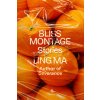 Bliss Montage: Stories