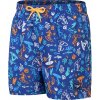 Speedo Boys Printed 13