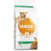 IAMS Dog Adult Large Chicken 12 kg
