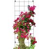 Pergola kovová Kadax mriežka 170 cm