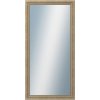 DANTIK - Zrkadlo v rámu, rozmer s rámom 60x120 cm z lišty KŘÍDLO malé strieborné patina (2775)