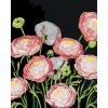 ZUTY Maľovanie podľa čísel - PIVÓNIE (MYROSLAVA VOLOSCHUK) Rámovanie: bez rámu a bez vypnutia plátna, Rozmer: 80x100 cm