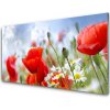 Sklenený obklad Do kuchyne Maky sedmokrásky kvety 100x50 cm