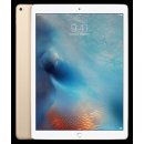 Apple iPad Pro Wi-Fi 32GB ML0H2FD/A