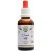 Salvia Paradise Česnek setý AF tinktura Allium sativum 50 ml