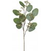 Umelá eukalyptová vetvička výška 52 cm Gasper - zelená