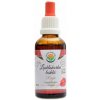 Salvia Paradise Leskokôrka lesklá AF tinktúra 50 ml