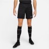 Shorts Nike Academy 23 Short M DR1360-010 (123432) Black 2XL