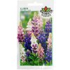 Vlčí bôb Hartwegow - Lupinus Hartwegii: ročný mix - 3g