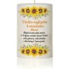 Palmová sviečka k meninám slnečnice Valec 13 cm / 7 cm 480g