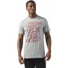 REEBOK Pánské tričko KING OF TRAINING GRAPHIC - šedé