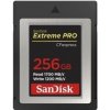 SanDisk 256GB SDCFE-256G-GN4NN