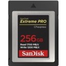 SanDisk 256GB SDCFE-256G-GN4NN
