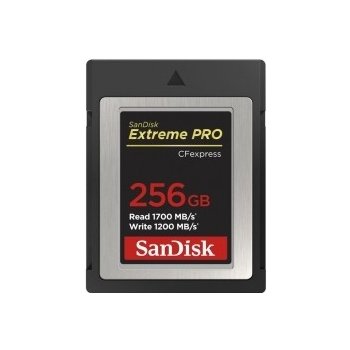 SanDisk 256GB SDCFE-256G-GN4NN