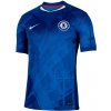 Dres Nike Dri-FIT Chelsea FC Stadium Home Jersey 2025/26 hj4589-496 Veľkosť M