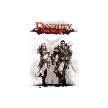 Divinity: Original Sin