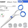 ​Kiepe FOUR STARS Blue Fire series 225 - profesionálne kadernícke nožnice 225 / 5,5 
