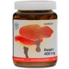 Wellbear Reishi 400 mg - 60 kapsúl