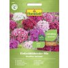 Klinček mix FloraSelf