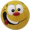 HRAČKY SALAČ Volejbal míček 7cm - LATEX (144/1)