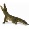 COLLECTA Krokodíl nílsky