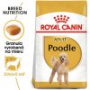 ROYAL CANIN Poodle Adult 1.5 kg granule pre dospelého pudla