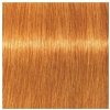 SCHWARZKOPF Igora Royal farba na vlasy 60ml - extra svetlá blond medená 9-7