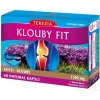 Terezia Company Klouby fit 60 kapsúl