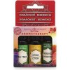 Altevita Set olejov Domácnosť a Dezinfekcia 3 x 10 ml