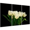 Biele tulipány - obraz (Obraz 120x80cm)