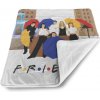 Sablio Deka pre bábätko Seriál Priatelia FRIENDS Gauč pri fontáne - 90x120 cm