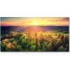 Foto obraz akrylové sklo Les západ slnka 100x50 cm