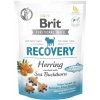Brit snack Recovery herring & sea buckthorn 150 g