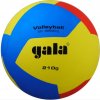 GALA BV 5555 S MÍČ VOLEJBAL 210 gramů