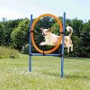 Trixie AGILITY kruh preskakovací