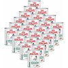 ROYAL CANIN VHN DOG DIABETIC SPECIAL LOW CARBOHYDRATE Konzerva 24 x 410 g