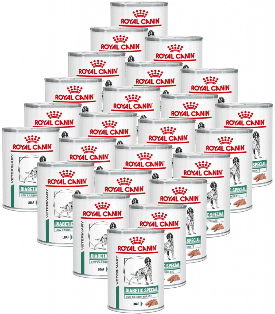 Royal Canin VHN Gastrointestinal 24 x 410 g