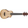 Ibanez AUC10E Natural