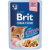 Brit Premium Cat Kitten Delicate Fillets Chicken 85 g