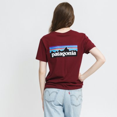 Patagonia Dámske tričko Pastel P 6 Logo Organic Crew T Shirt W's od 25,57 €  - Heureka.sk