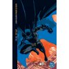 DC Comics Absolute Batman: Haunted Knight (2025 Edition)