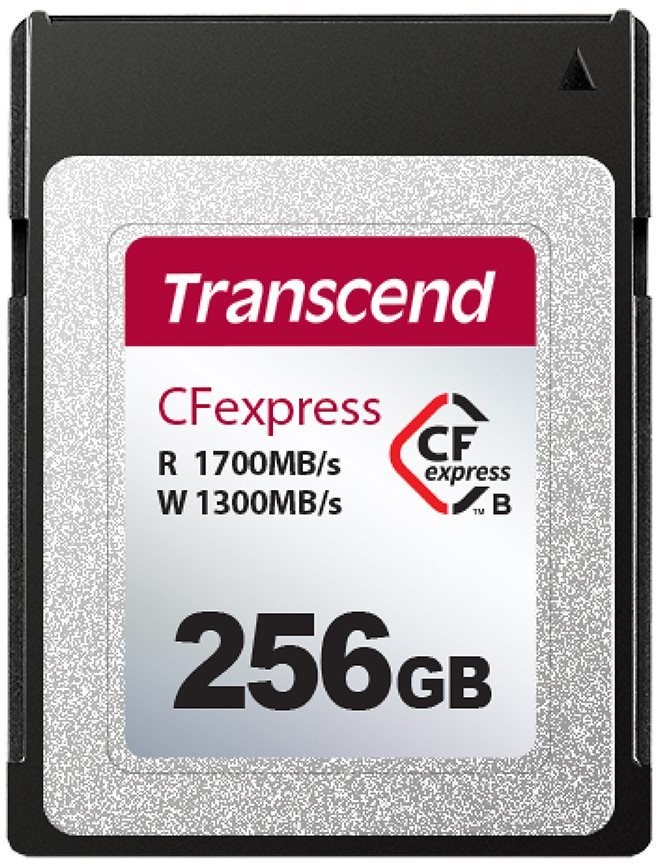 Transcend 256GB TS256GCFE820