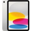 iPad 11