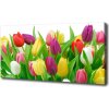 Moderný obraz canvas na ráme Farebné tulipány 100x50 cm