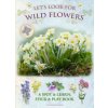 Lets Look for Wild Flowers: A Spot & Learn, Stick & Play Book (Buckingham Caz)