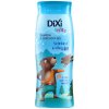 DIXI Svište Sviežosť a sila hôr šampón a sprchový gél 250 ml