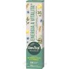 REVITAL Botanicals energia a vitalita zelený čaj a citrón 20 šumivých tabliet