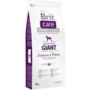 Brit Care Grain-free Giant Salmon & Potato 12 kg