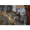 3D pohľadnica Dinosauri Parasaurolophus